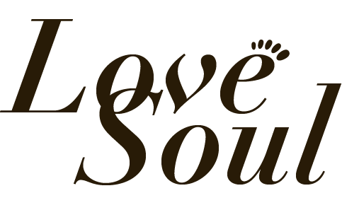 フランチャイズ展開の副業、独立開業で高収入を得るなら相模原市の『Love Soul（ラブソウル）』へ。足圧深層リンパセラピー体験実施中です！簡単に身につく技術ですよ！！